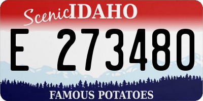 ID license plate E273480