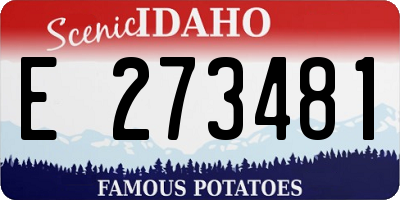 ID license plate E273481