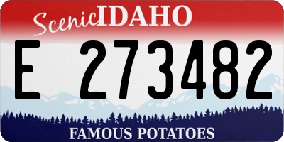 ID license plate E273482
