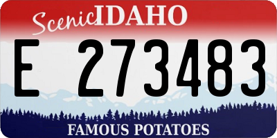 ID license plate E273483