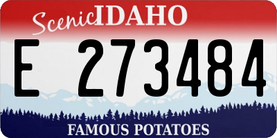 ID license plate E273484