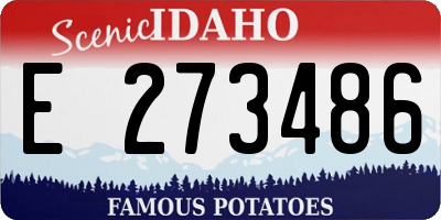 ID license plate E273486