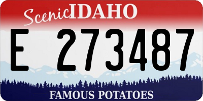 ID license plate E273487