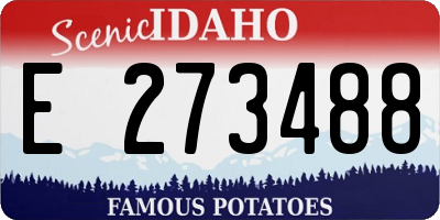 ID license plate E273488