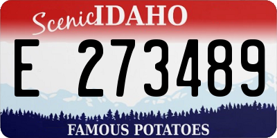 ID license plate E273489