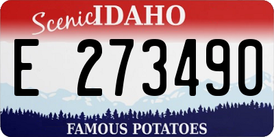 ID license plate E273490
