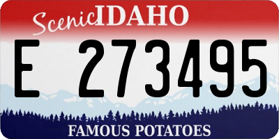 ID license plate E273495