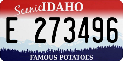 ID license plate E273496
