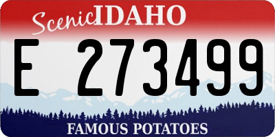 ID license plate E273499