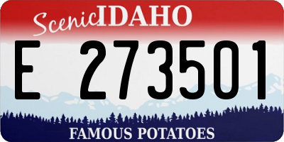 ID license plate E273501