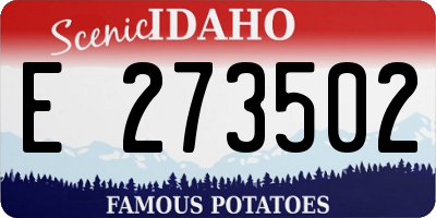 ID license plate E273502