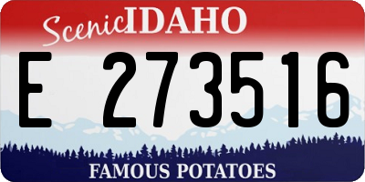ID license plate E273516