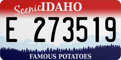 ID license plate E273519