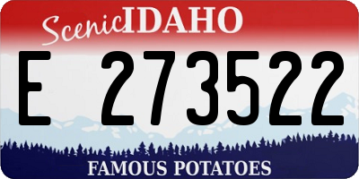ID license plate E273522