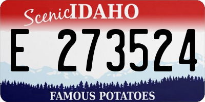 ID license plate E273524
