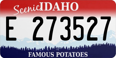 ID license plate E273527