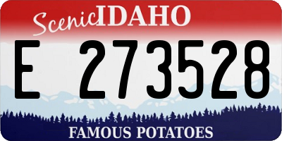 ID license plate E273528