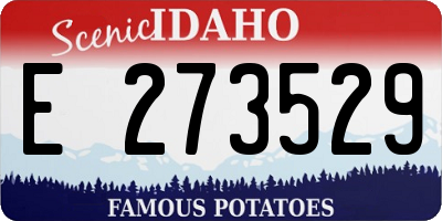 ID license plate E273529