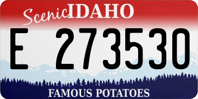ID license plate E273530