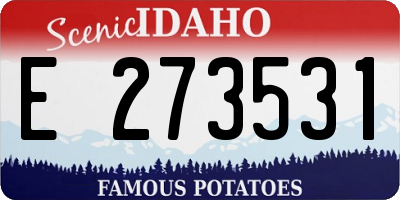ID license plate E273531
