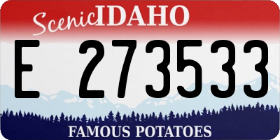 ID license plate E273533