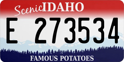 ID license plate E273534