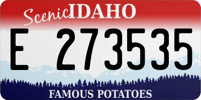 ID license plate E273535
