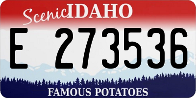 ID license plate E273536