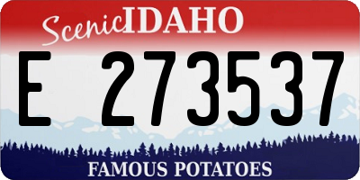 ID license plate E273537