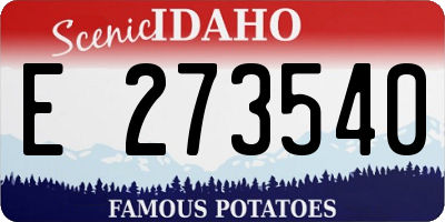ID license plate E273540