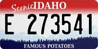 ID license plate E273541