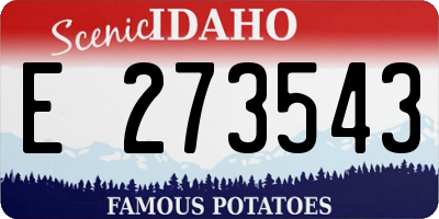 ID license plate E273543