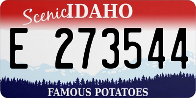 ID license plate E273544