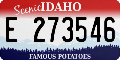ID license plate E273546
