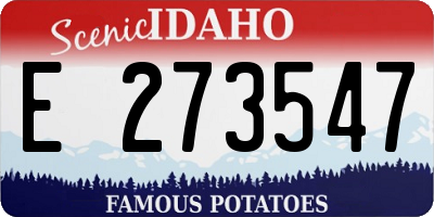 ID license plate E273547