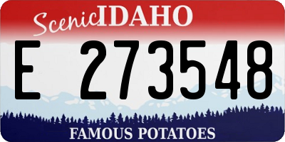 ID license plate E273548