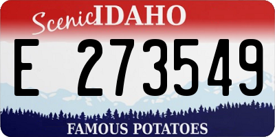 ID license plate E273549