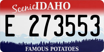 ID license plate E273553