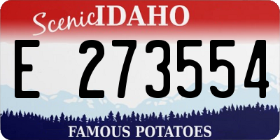 ID license plate E273554