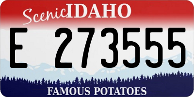 ID license plate E273555