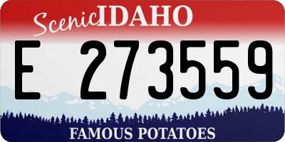 ID license plate E273559