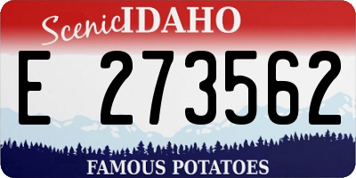 ID license plate E273562