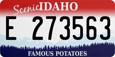 ID license plate E273563