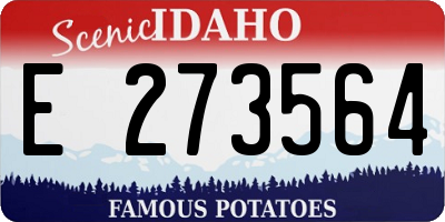 ID license plate E273564