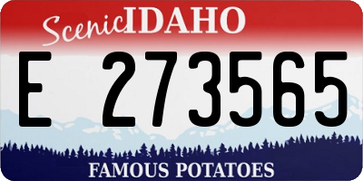 ID license plate E273565