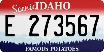 ID license plate E273567