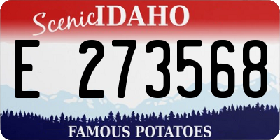 ID license plate E273568