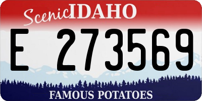 ID license plate E273569