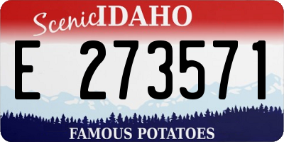 ID license plate E273571