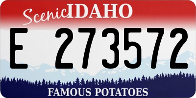 ID license plate E273572